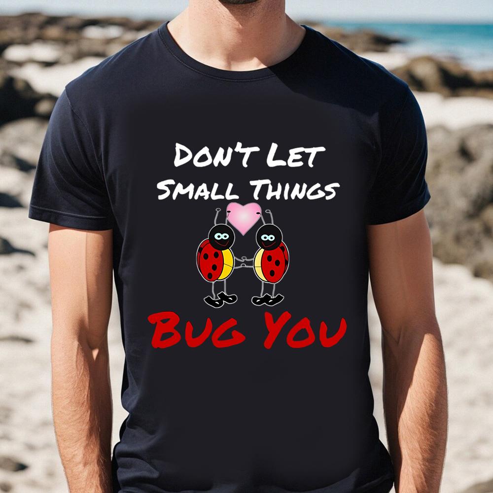 Ladybug Valentine Gift Shirt